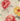 29664-3008_big